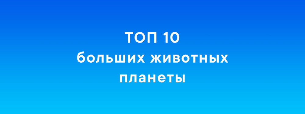 ТОП 10 больших животных планеты